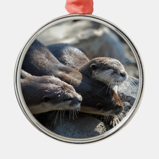 Cuddling Otters Metalen Ornament (Voorkant)