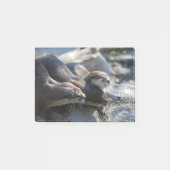 Cuddling Otters Post-it® Notes (Voorkant)