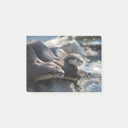 Cuddling Otters Post-it® Notes (Voorkant)