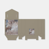 Cudly Cat Bedankdoosjes (Uitgevouwen)