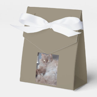 Cudly Cat Bedankdoosjes