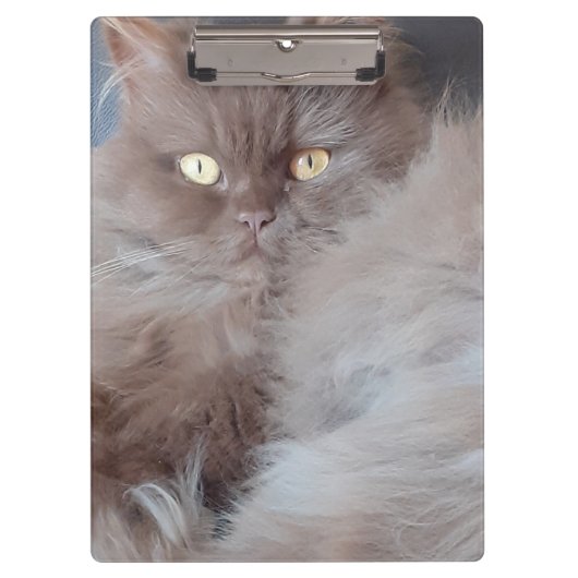 Cudly Cat Klembord (Voorkant)