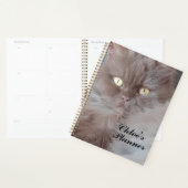 Cudly Cat Planner (Display)