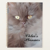 Cudly Cat Planner (Voorkant)