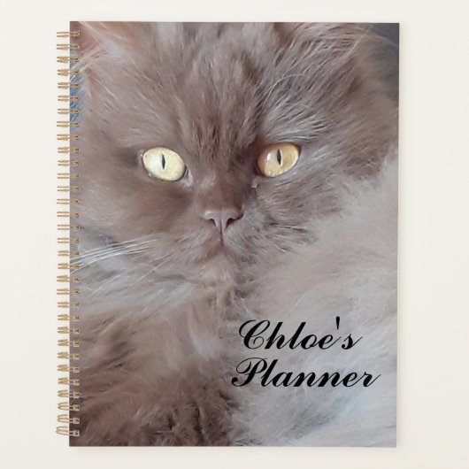 Cudly Cat Planner (Voorkant)