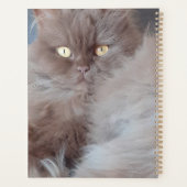 Cudly Cat Planner (Achterkant)