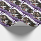 Cudly Kittens Cadeaupapier (Hoek)