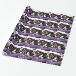 Cudly Kittens Cadeaupapier