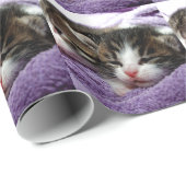 Cudly Kittens Cadeaupapier (Rol Hoek)
