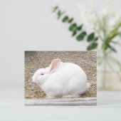 Cudly White Bunny Briefkaart (Staand voorkant)