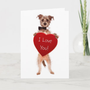 Cuene falling in love greeting card feestdagen kaart