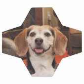 Cuire votre propre animal de compagnie photo moder (Plat)