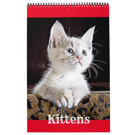 CUISINE CATS PUPIES - Calendrier (Protection)