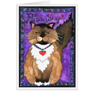 Cuisine chatte-chaton siamois Ragdoll