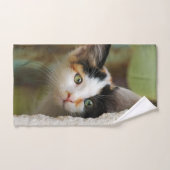 Cuisine Curieuse Chat Kitten Prying Eyes Photo Pet (Serviette à main)
