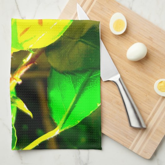 Cuisine Serviettes COOL ECO STYLE DESIGN (Quart Plié)