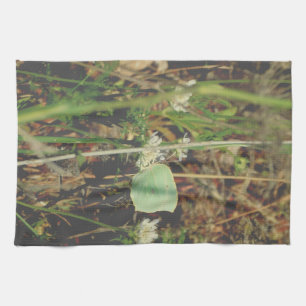 Cuisine Serviettes COOL ECO STYLE DESIGN