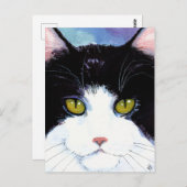 Cuite chat noir & blanc tuxedo Maine Coon carte po (Devant / Derrière)