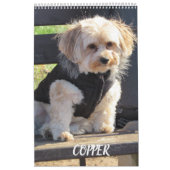 Cuivrez le calendrier de Havapookie (Protection)