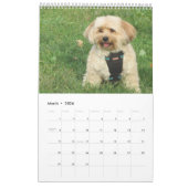 Cuivrez le calendrier de Havapookie (Mar 2026)