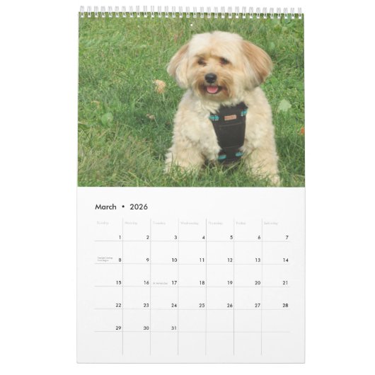 Cuivrez le calendrier de Havapookie (Mar 2026)