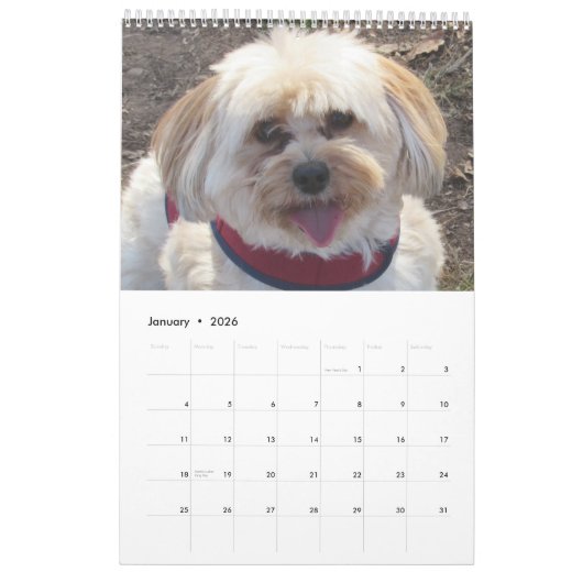 Cuivrez le calendrier de Havapookie (Jan 2026)