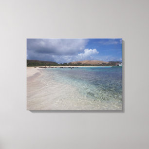 Culebra Canvas Afdruk