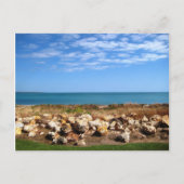 Cullen Bay Briefkaart (Voorkant)