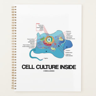 Culture cellulaire dans la cellule Eukaryotique