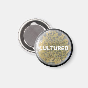 "Cultured" Bacteria Cultuur Bord Magnet Magneet