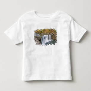 Cumberland Falls State Park bij Corbin Kentucky Kinder Shirts