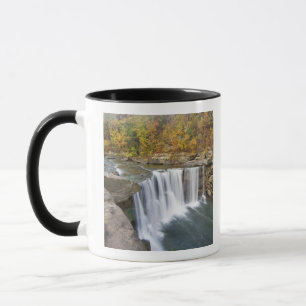 Cumberland Falls State Park bij Corbin Kentucky Mok