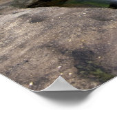 Cumberland Herfst State Park bij Corbin Kentucky Poster (Hoek)