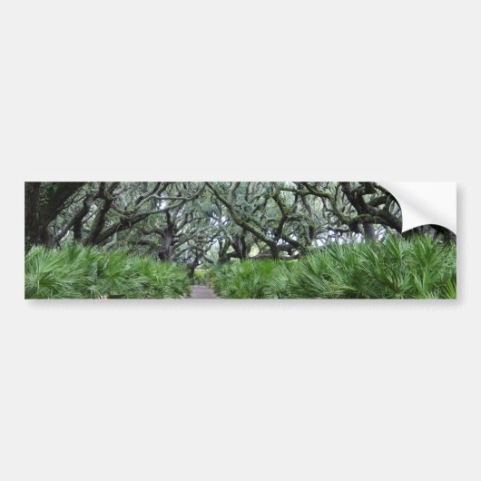 Cumberland Island Bumpersticker (Voorkant)