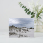 Cumberland Island Dunes Briefkaart (Staand voorkant)