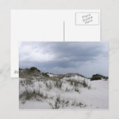 Cumberland Island Dunes Briefkaart (Voorkant / Achterkant)