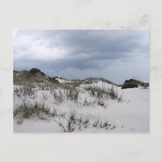 Cumberland Island Dunes Briefkaart (Voorkant)