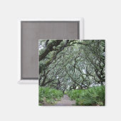 Cumberland Island Magneet (Voorkant / Achterkant)