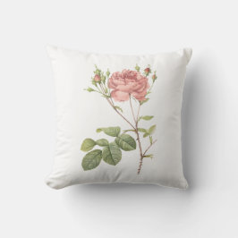 Cumberland roos van Redouté Kussen