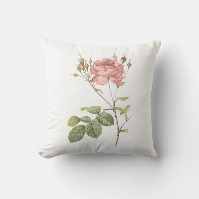 Cumberland roos van Redouté Kussen (Voorkant)