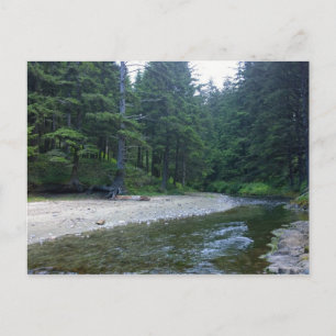 Cummins Creek in Neptune State Park, OF Briefkaart