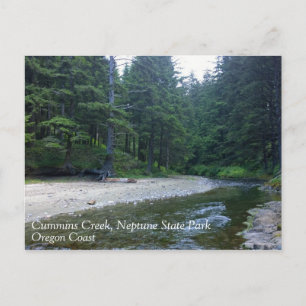 Cummins Creek in Neptune State Park, OF Briefkaart