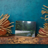 Cummins Creek in Neptune State Park, OF Fotoplaat (Zijkant)