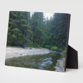 Cummins Creek in Neptune State Park, OF Fotoplaat (Zijkant)