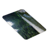 Cummins Creek in Neptune State Park, OF Magneet (Rechterzijde)