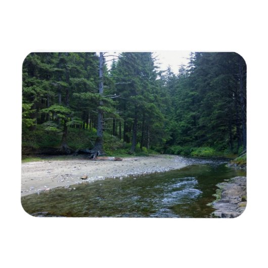 Cummins Creek in Neptune State Park, OF Magneet (Horizontaal)