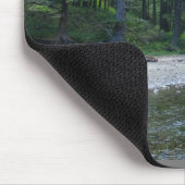 Cummins Creek in Neptune State Park, OF Muismat (Hoek)