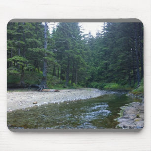 Cummins Creek in Neptune State Park, OF Muismat
