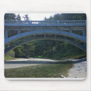 Cummins Creek in Neptune State Park, OF Muismat