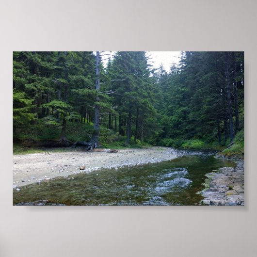Cummins Creek in Neptune State Park, OF Poster (Voorkant)